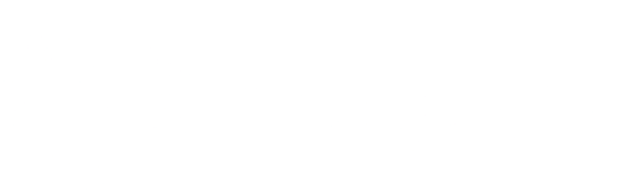 B1 Company