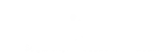 Saniwork